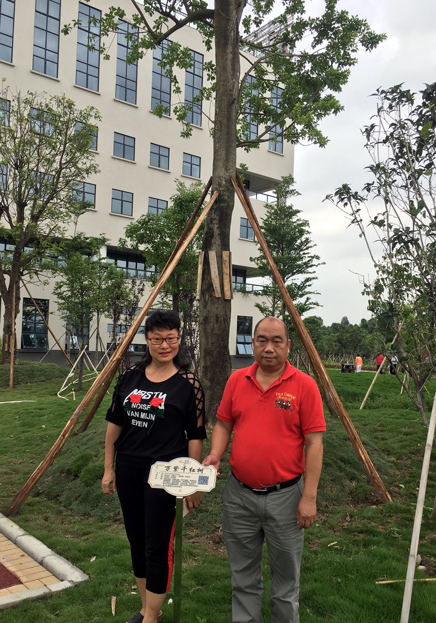 微信图片_201805151015226_副本